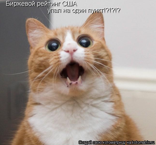Биржевой рейтинг США упал на один пункт!?!?!?... Котоматрица: Биржевой рейтинг США упал на один пункт!?!?!?