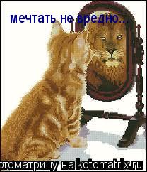 Котоматрица: мечтать не вредно... мечтать не вредно...