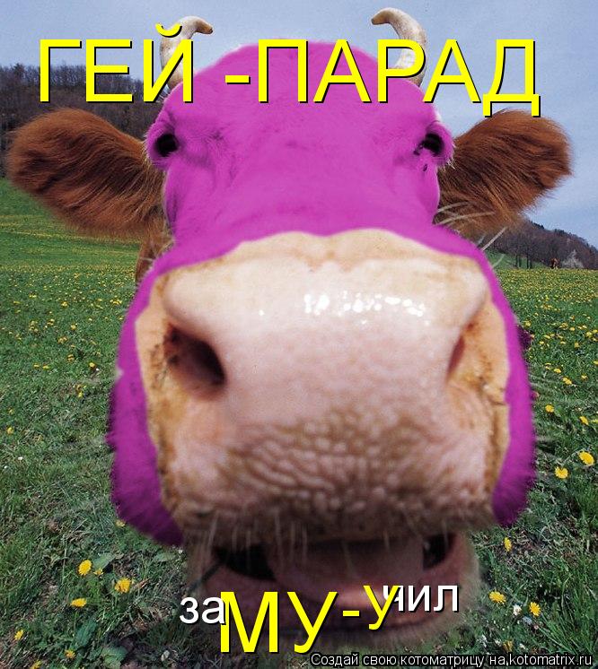 Котоматрица: ГЕЙ -ПАРАД   МУ чил -У за