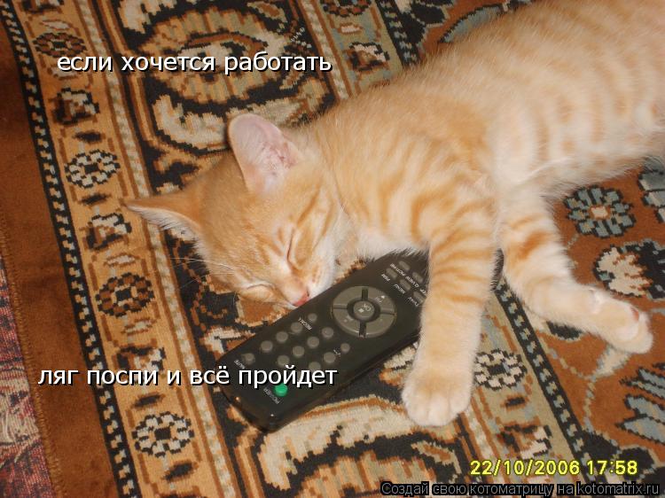 если хочется работать ляг поспи и всё пройдет... Котоматрица: если хочется работать ляг поспи и всё пройдет