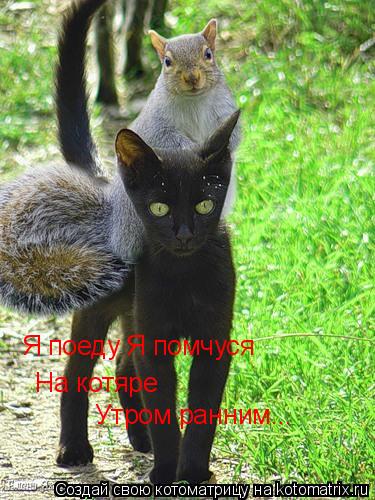 Я поеду Я помчуся На котяре Утром ранним...... Котоматрица: Я поеду Я помчуся На котяре Утром ранним...