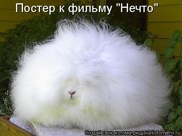 Постер к фильму "Нечто"... Котоматрица: Постер к фильму "Нечто"