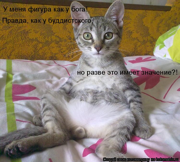 У меня фигура как у бога! Правда, как у буддистского, но разве это имеет значение?!... Котоматрица: У меня фигура как у бога! Правда, как у буддистского, но разве это имеет значение?!