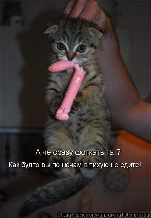 А че сразу фоткать та!? А че сразу фоткать та!? Как будто Вы по ночам в тихую не едите! Как будто вы ... Котоматрица: А че сразу фоткать та!? А че сразу фоткать та!? Как будто Вы по ночам в тихую не едите! Как будто вы по ночам в тихую не едите! Как будто вы по но