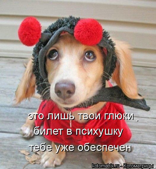это лишь твои глюки билет в психушку тебе уже обеспечен .... Котоматрица: это лишь твои глюки билет в психушку тебе уже обеспечен .