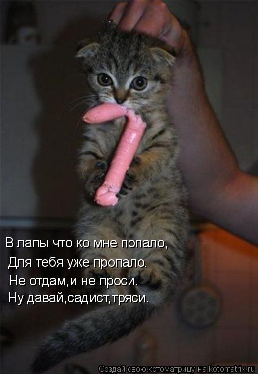 В лапы что ко мне попало, Не отдам,и не проси. Ну давай,садист,тряси. Для тебя уже пропало.... Котоматрица: В лапы что ко мне попало, Не отдам,и не проси. Ну давай,садист,тряси. Для тебя уже пропало.