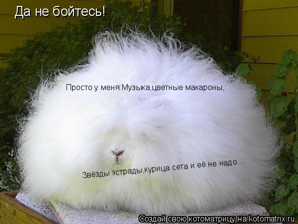 Да не бойтесь! Просто у меня:Музыка,цветные макароны, Звёзды эстрады,курица сета и её не надо...... Котоматрица: Да не бойтесь! Просто у меня:Музыка,цветные макароны, Звёзды эстрады,курица сета и её не надо...