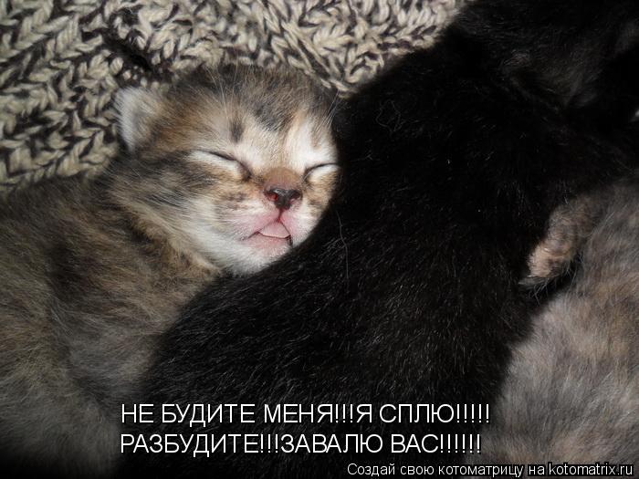 Меня Будить Картинки