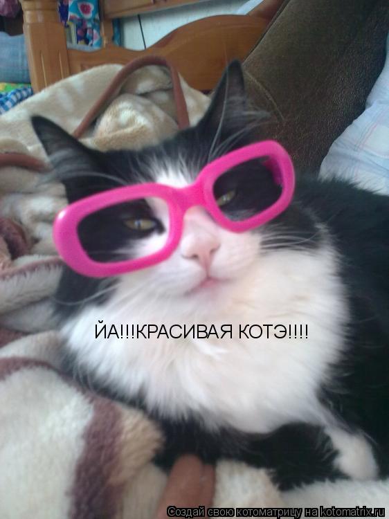 ЙА!!!КРАСИВАЯ КОТЭ!!!!... Котоматрица: ЙА!!!КРАСИВАЯ КОТЭ!!!!