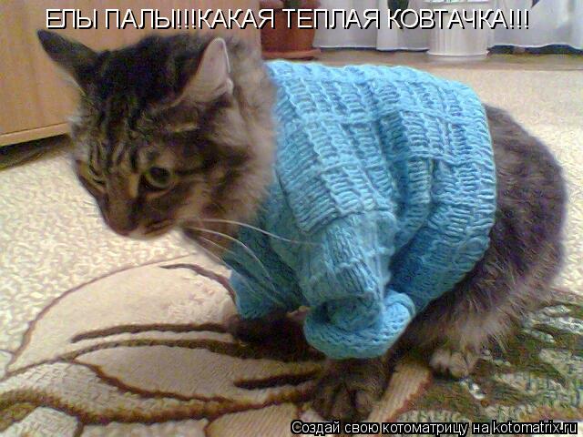 ЕЛЫ ПАЛЫ!!!КАКАЯ ТЕПЛАЯ КОВТАЧКА!!! ЕЛЫ ПАЛЫ!!!КАКАЯ ТЕПЛАЯ КОВТАЧКА!!!... Котоматрица: ЕЛЫ ПАЛЫ!!!КАКАЯ ТЕПЛАЯ КОВТАЧКА!!! ЕЛЫ ПАЛЫ!!!КАКАЯ ТЕПЛАЯ КОВТАЧКА!!!