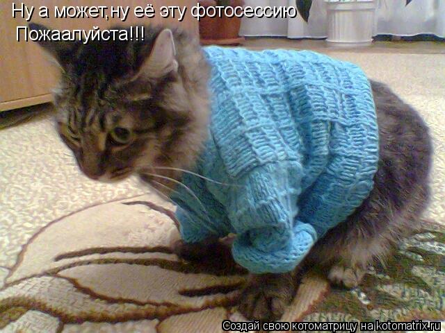 Ну а может,ну её эту фотосессию Пожаалуйста!!!... Котоматрица: Ну а может,ну её эту фотосессию Пожаалуйста!!!