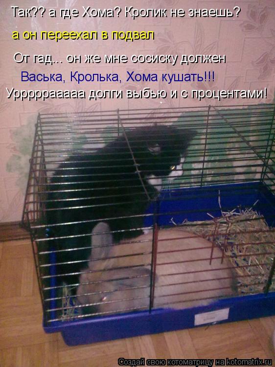 Так?? а где Хома? Кролик не знаешь? а он переехал в подвал От гад... он же мне сосиску должен Васька,... Котоматрица: Так?? а где Хома? Кролик не знаешь? а он переехал в подвал От гад... он же мне сосиску должен Васька, Кролька, Хома кушать!!! Урррррааааа долги вы