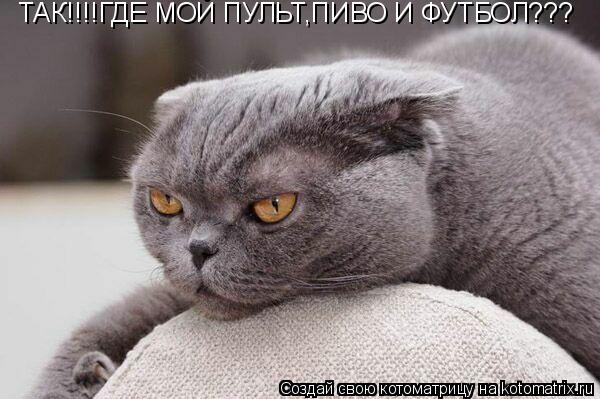 ТАК!!!!ГДЕ МОЙ ПУЛЬТ,ПИВО И ФУТБОЛ???... Котоматрица: ТАК!!!!ГДЕ МОЙ ПУЛЬТ,ПИВО И ФУТБОЛ???