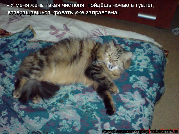 Котоматрица: - У меня жена такая чистюля, пойдёшь ночью в туалет,  возвращаешься-кровать уже заправлена!