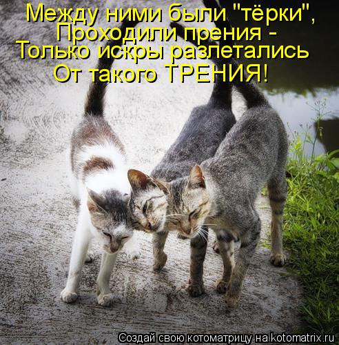 Между ними были "тёрки", Проходили прения - Только искры разлетались От такого ТРЕНИЯ!... Котоматрица: Между ними были "тёрки", Проходили прения - Только искры разлетались От такого ТРЕНИЯ!