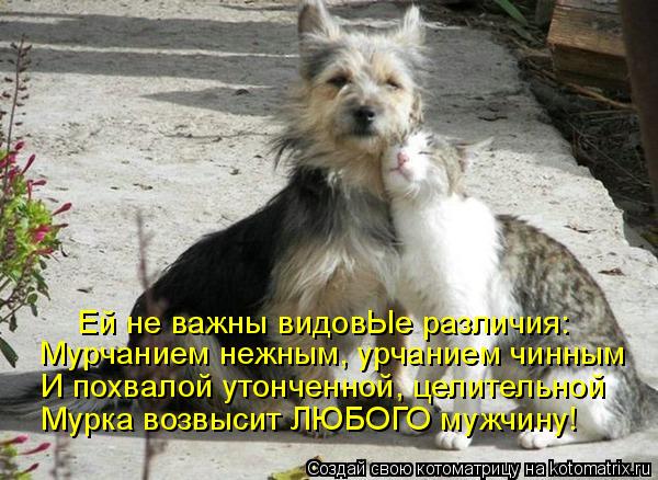 Ей не важны видовЫе различия: Мурчанием нежным, урчанием чинным И похвалой утонченной, целительной Му... Котоматрица: Ей не важны видовЫе различия: Мурчанием нежным, урчанием чинным И похвалой утонченной, целительной Мурка возвысит ЛЮБОГО мужчину!