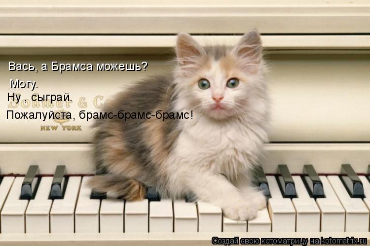 Котоматрица: Вась, а Брамса можешь? Могу. Ну , сыграй. Пожалуйста, брамс-брамс-брамс!