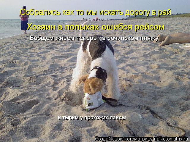 Котоматрица: Собрались как то мы искать дорогу в рай Собрались как то мы искать дорогу в рай Хозяин в попыхах ошибся рейсом Вобщем живем теперь на сочинс