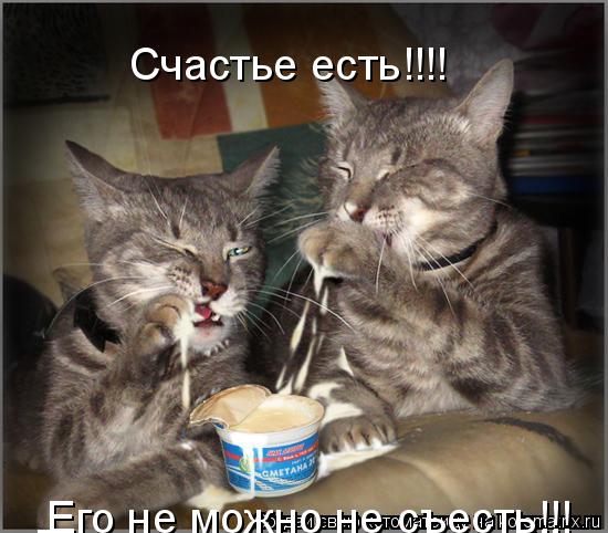 Котоматрица: Счастье есть!!!! Его не можно не съесть!!! Его не можно не съесть!!!