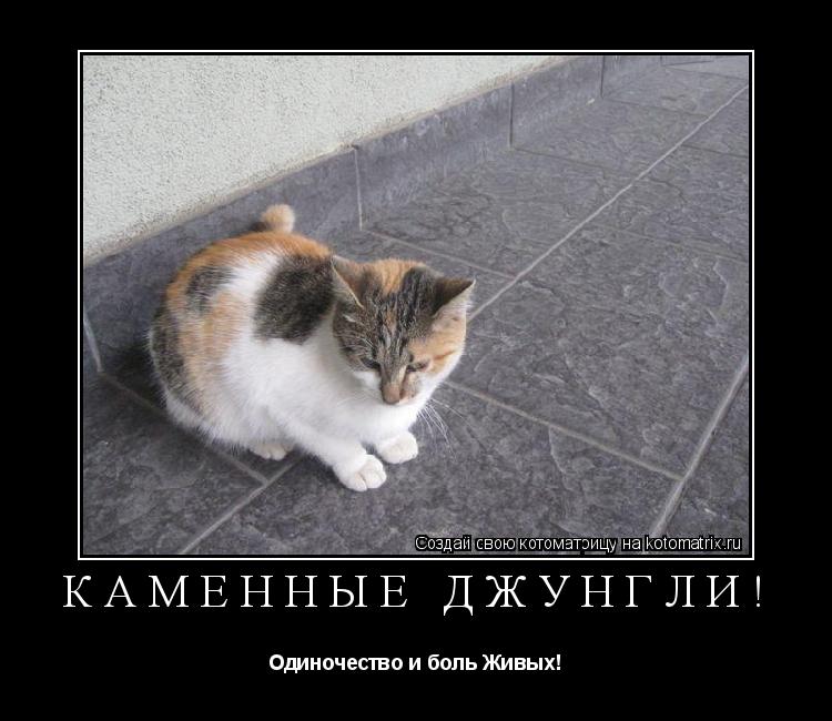 КАМЕННЫЕ ДЖУНГЛИ! Одиночество и боль Живых!... Котоматрица: КАМЕННЫЕ ДЖУНГЛИ! Одиночество и боль Живых!