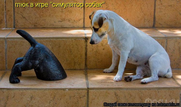 Котоматрица: глюк в игре "симулятор собак"