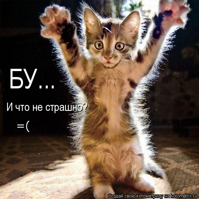 Котоматрица: БУ... И что не страшно? =(