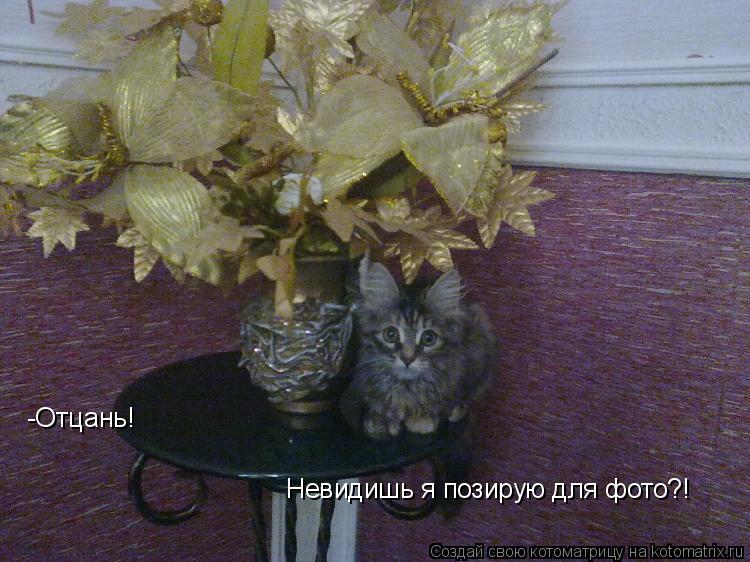 Котоматрица: -Отцань! Невидишь я позирую для фото?!