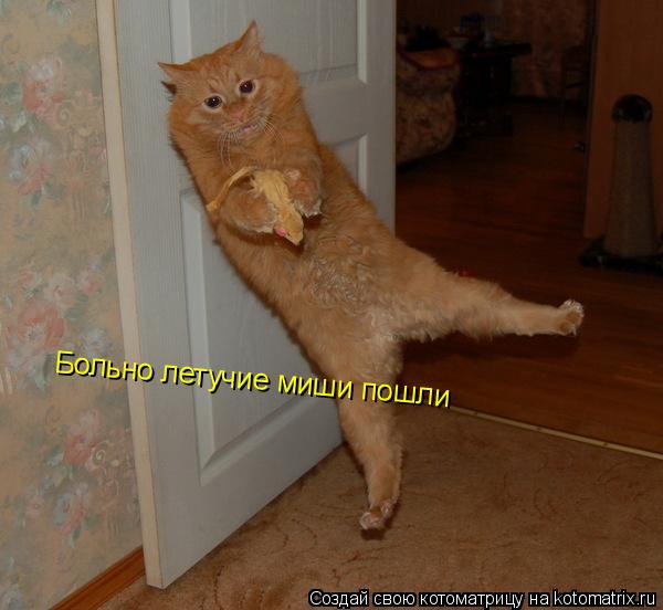 Котоматрица: Больно летучие миши пошли