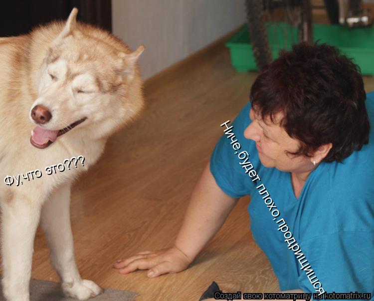 Котоматрица: Фу,что это??? Ниче,будет плохо,продрищишся