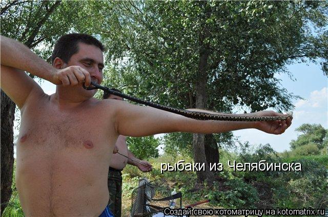 Котоматрица: рыбаки из Челябинска