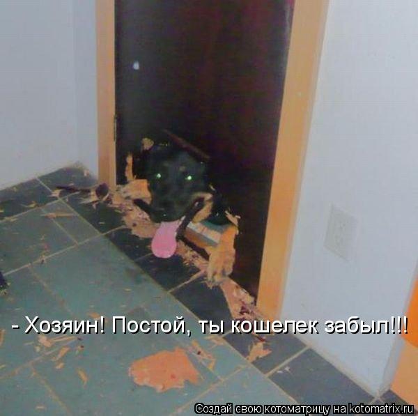 Котоматрица: - Хозяин! Постой, ты кошелек забыл!!!