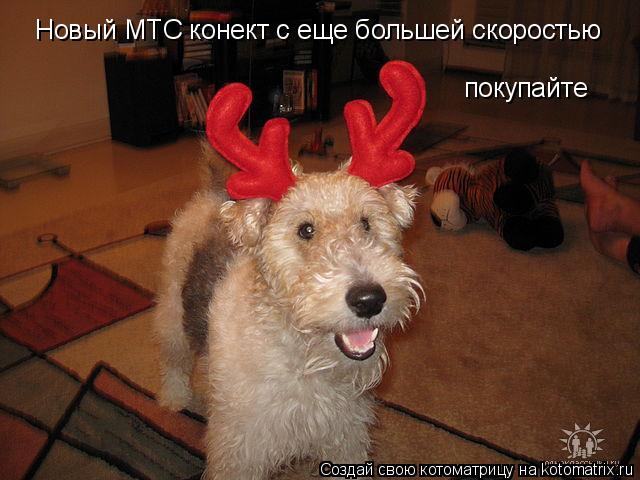 Котоматрица: Новый МТС конект с еще большей скоростью покупайте