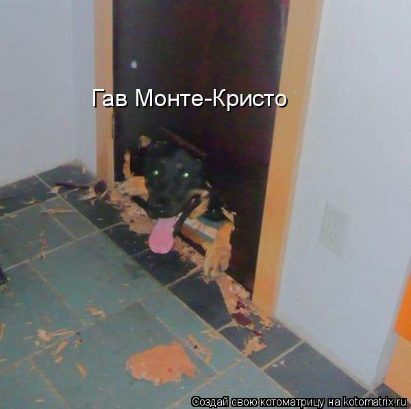 Котоматрица: Гав Монте-Кристо