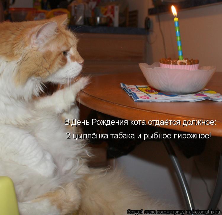 Котоматрица: В День Рождения кота отдаётся должное:  2 цыплёнка табака и рыбное пирожное!