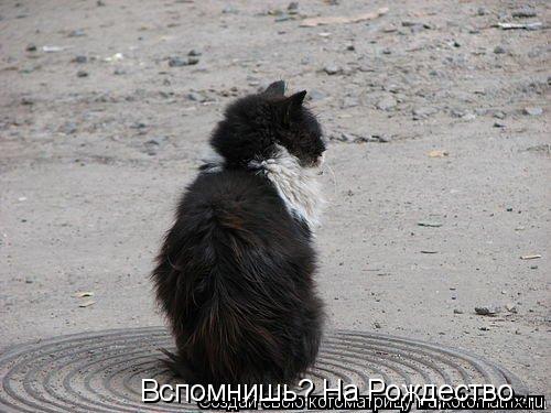 Котоматрица: Вспомнишь? На Рождество...