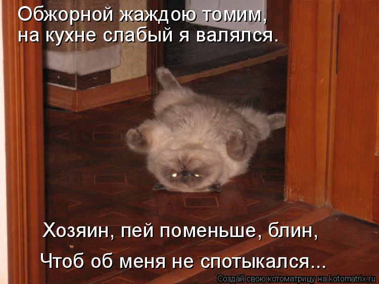 Котоматрица: Обжорной жаждою томим,  на кухне слабый я валялся.  Хозяин, пей поменьше, блин,  Чтоб об меня не спотыкался...