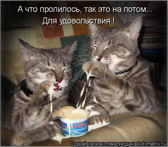 Котоматрица: А что пролилось, так это на потом... Для удовольствия !