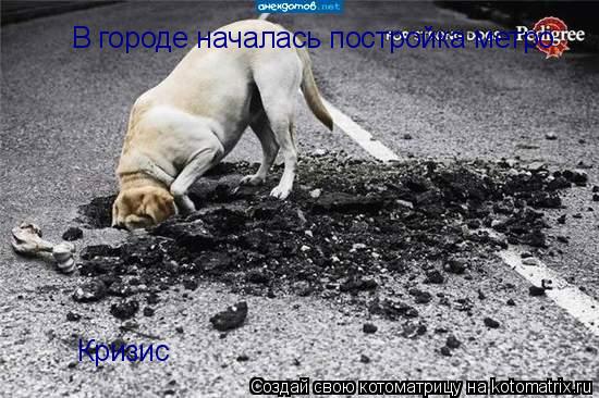 В городе началась постройка метро Кризис... Котоматрица: В городе началась постройка метро Кризис