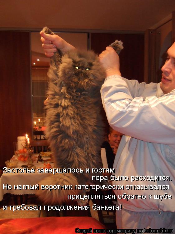 Застолье завершалось и гостям пора было расходится. Но наглый воротник категорически отказывался ... Котоматрица: Застолье завершалось и гостям пора было расходится. Но наглый воротник категорически отказывался прицепляться обратно к шубе и требова