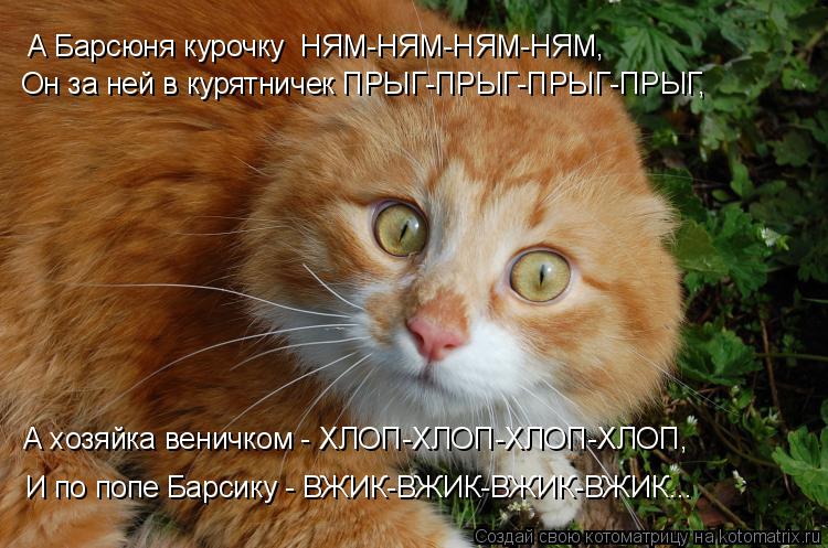 А хозяйка веничком - ХЛОП-ХЛОП-ХЛОП-ХЛОП, И по попе Барсику - ВЖИК-ВЖИК-ВЖИК-ВЖИК... А Барсюня куроч... Котоматрица: А хозяйка веничком - ХЛОП-ХЛОП-ХЛОП-ХЛОП, И по попе Барсику - ВЖИК-ВЖИК-ВЖИК-ВЖИК... А Барсюня курочку НЯМ-НЯМ-НЯМ-НЯМ, Он за ней в курятничек П