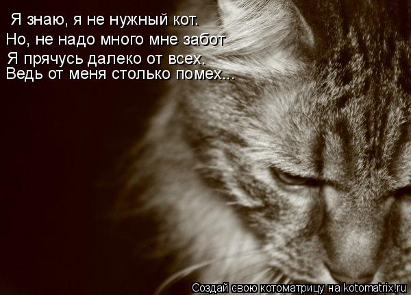 Котоматрица: Я знаю, я не нужный кот. Но, не надо много мне забот Я прячусь далеко от всех. Ведь от меня столько помех...