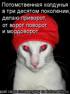 Котоматрица: Потомственная колдунья в три десятом поколении, делаю:приворот, от ворот поворот и мордоворот.