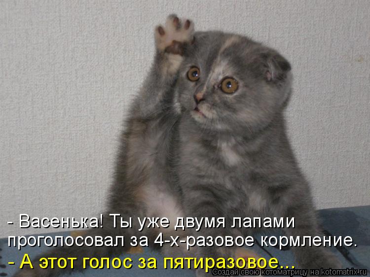 - Васенька! Ты уже двумя лапами проголосовал за 4-х-разовое кормление. - А этот голос за пятиразовое.... Котоматрица: - Васенька! Ты уже двумя лапами проголосовал за 4-х-разовое кормление. - А этот голос за пятиразовое...