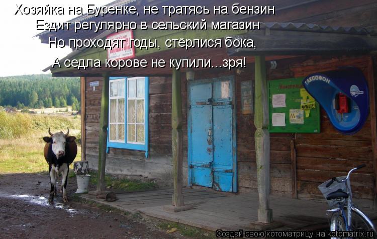 Котоматрица: Хозяйка на Буренке, не тратясь на бензин Ездит регулярно в сельский магазин Но проходят годы, стёрлися бока, А седла корове не купили...зря!