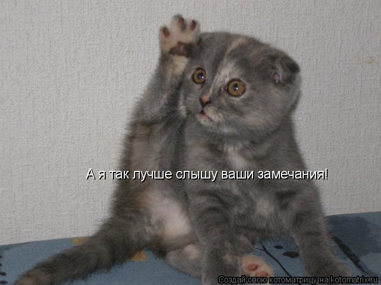А я так лучше слышу ваши замечания!... Котоматрица: А я так лучше слышу ваши замечания!