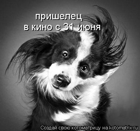 Котоматрица: пришелец в кино с 31 июня