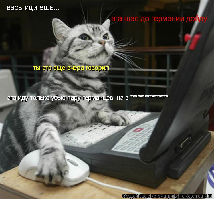 Котоматрица: вась иди ешь... ага щас до германии дойду ты это ещё вчера говорил ага иду только убью пару германцев, на в ****************