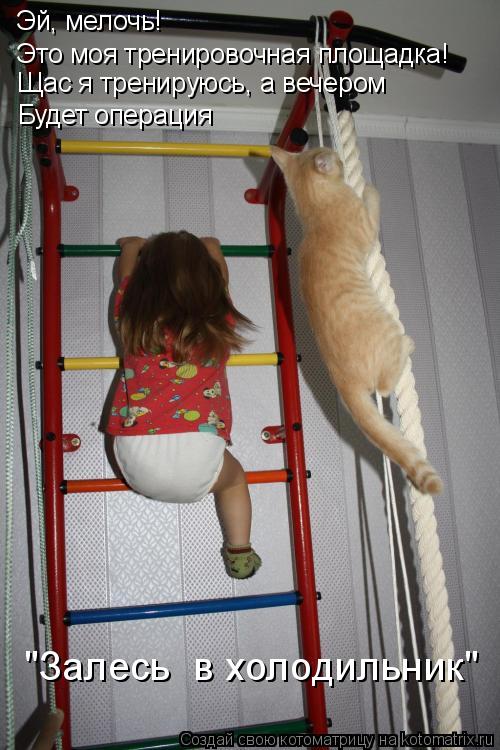 Котоматрица: Эй, мелочь! Это моя тренировочная площадка!  Щас я тренируюсь, а вечером Будет операция  "Залесь  в холодильник"