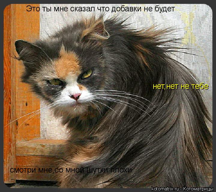 Котоматрица: Это ты мне сказал что добавки не будет нет,нет не тебе смотри мне,со мной шутки плохи