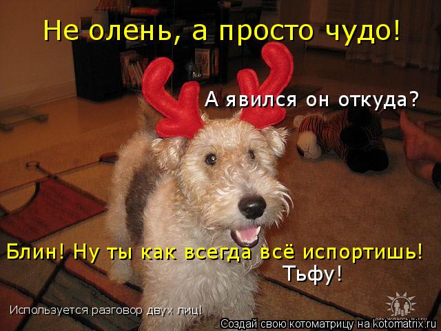Котоматрица: Не олень, а просто чудо! А явился он откуда? Блин! Ну ты как всегда всё испортишь! Тьфу! Используется разговор двух лиц!